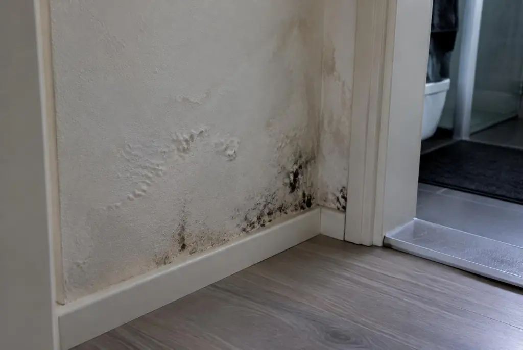 Lekdetectie Oldebroek – vochtplek met schimmel op een muur